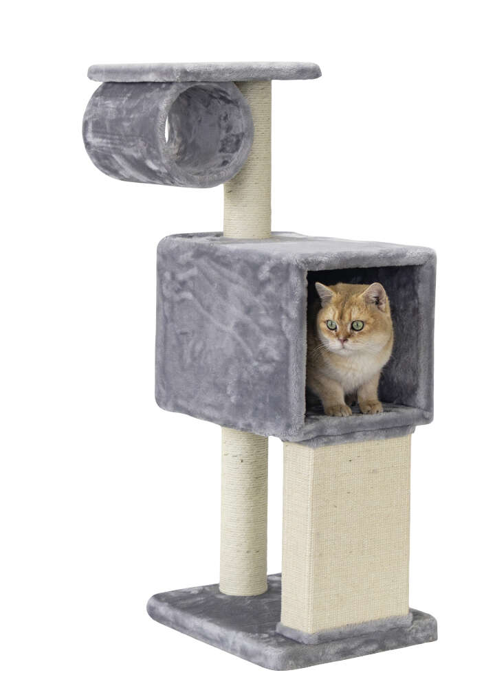 Nobby Kratzbaum Fina